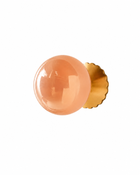 Rose Aura Wall Light